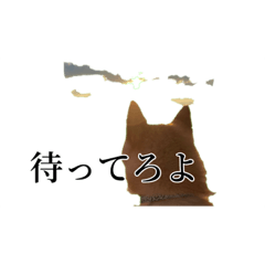 den-chu_20211009165058