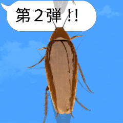 Cockroach on the smartphone 2