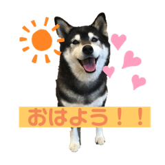 rei_20211009225707