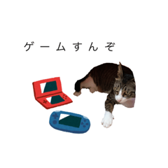 kaito_20211010122904