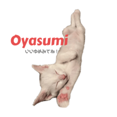 hikari_20211010013140