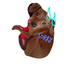 minipinn2