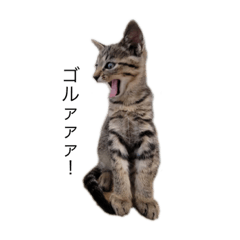 saori_20211010075454