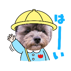 hana_20211010095629