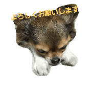 makaron2
