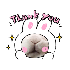 兔兔鬱悶但兔兔不說