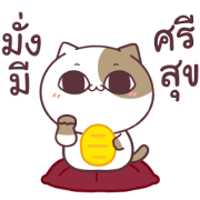 Tofu cat Dukdik 3