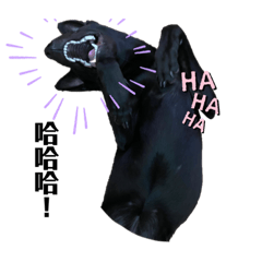 可愛修勾(⁎⁍̴̛ᴗ⁍̴̛⁎)