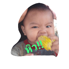 The little Zenter