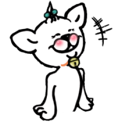 White cat making you happy