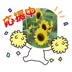 ringo_20211010191533