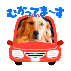 ベルちゃん&花ちゃん秋スタンプ