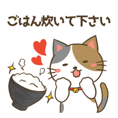 Calico cat&Black and white cat Housework