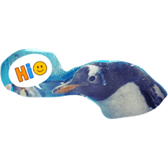 penguin 65