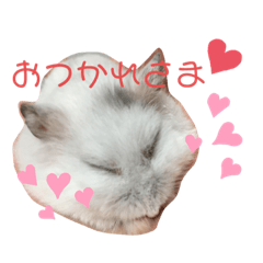 omayu_20211010213201