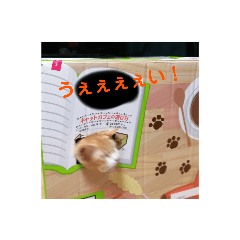 julia_20211010195921