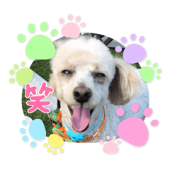 mayumi_20211010154738