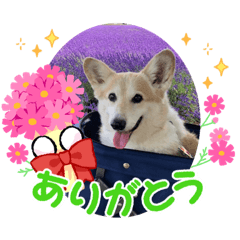 miki_20211010220214