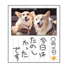 miki_20211010200621