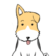 Wire fox terrier  jon