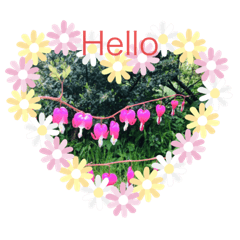 Nice and beautiful day