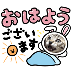 haru everyday stamp
