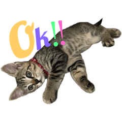 hikari_20211011005419