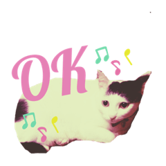 Ayumi_20211010163438