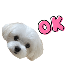 michiko_20211010174107