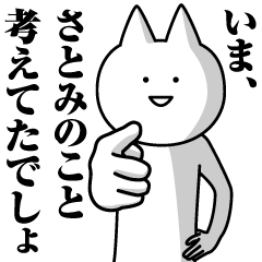 Name Sticker Satomi new