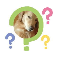 monvipa_20211010101607