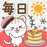 Cute everyday basic natural cat japan