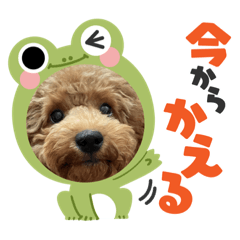 Yuina_20211010202959