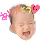 kaibo-----