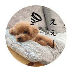 Nanami_20211010214313