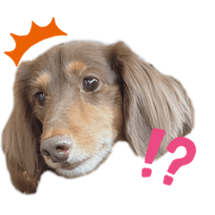 MIZUKI_20211010225926