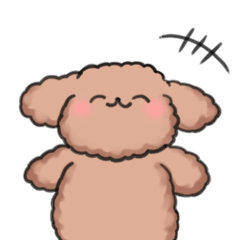 hunwa-ri mokomoko toy poodle 2