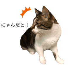 Mitsuki_20211011135905