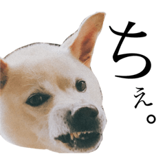 kotarokun no tukaeru sutanpu