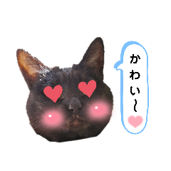 kurosuke_2021101115331