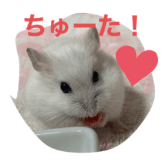 nozomi_20211011102316