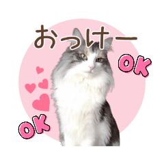 Alice*_20211011130259