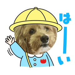 TonTon_u-tan