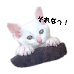 hikari_20211011212437