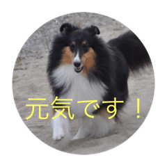 Piano_20211011224009