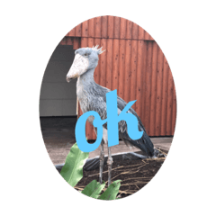 Ayumi_20211011184345