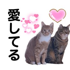 CAT&LOVE_20211011222447