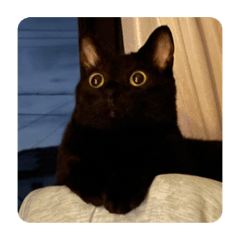 momoko_20211011200441