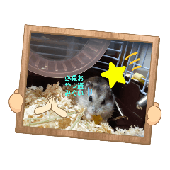 chiitan_20211011202316