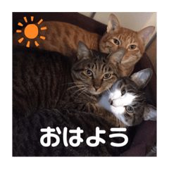 nanami_20211011213507